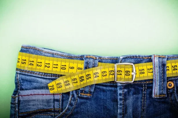 Obesity Statistics and Facts In 2025